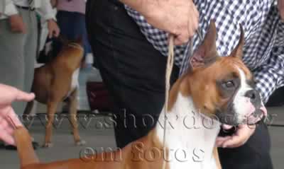 Clique sobre a foto para fechar